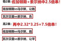 澳门一肖一特一码一中，实用释义解释与落实策略至2025年,2025年澳门一肖一特一码一中的实用释义解释与落实