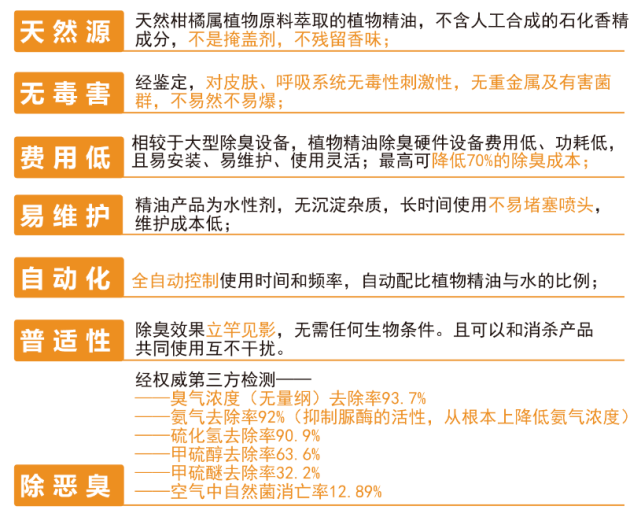 关于新澳天天正版资料大全的全面解答与解释落实——迈向2025的深入解读,2025新澳天天正版资料大全,全面解答解释落实_